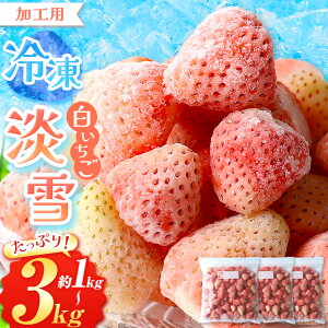 yӂ邳Ɣ[ŁzⓀ   W Iׂ  1kg  2kg  3kg | ʖ F{ ʕ t[c  C`S X[W[ W Hp  ACX