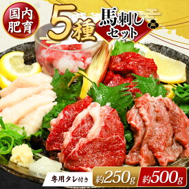 【ふるさと納税】 本場 熊本 馬刺し 豪華 5種盛り 選べる 約250g（50g×5P） ・ 約500g（50g×10P） 専用タレ付き | 玉名 熊本 馬肉 馬刺 赤身 霜降り フタエゴ 馬ひも コーネ 小分け