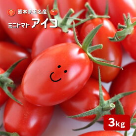 【ふるさと納税】 ミニトマト トマト アイコ 3キロ 3kg かめまる農園 生産者直送 産直 玉名 熊本 送料無料