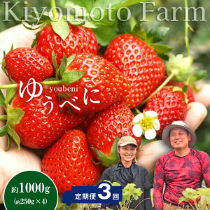 yӂ邳Ɣ[Łz 3 C`S 䂤ׂ 1000g i250g×4pbNj | ƒp 召 t[c ʕ  ʎ   YҒ s\ F{ ʖ  