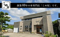 【ふるさと納税】熊本県玉名産お米「森のくまさん」(10kg)