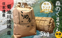 【ふるさと納税】熊本県玉名産お米「森のくまさん」(5kg)