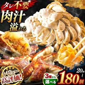 【ふるさと納税】選べる種類 『 玉名餃子 』or『黒豚餃子』 or 『トマトチーズ餃子』 選べる容量 20個 or 50個 or 80個 or 120個 or 180個 （1回・3回・6回・12回） | 餃子 黒豚 トマトチーズ トマト ぎょうざ つまみ お手軽 小分け 冷凍 冷凍食品 おかず 豚肉 熊本県 玉名市