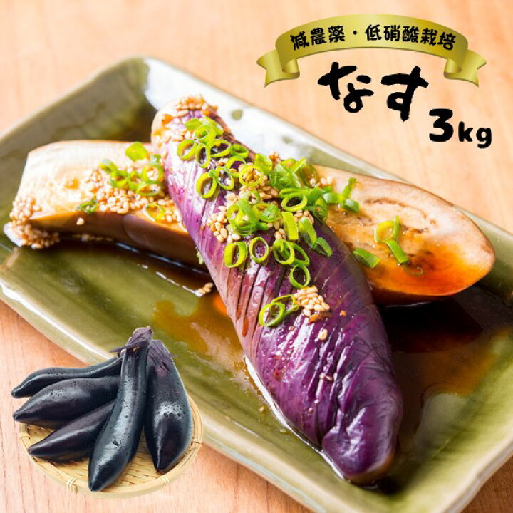 楽天市場 ふるさと納税 野菜 ナス 茄子 秋ナス 平岡農園 減農薬 低硝酸栽培 先行予約 3kg ３キロ 生産者直送 熊本 玉名 送料無料 熊本県玉名市