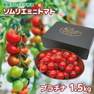 yӂ邳Ɣ[Łz\G~jg}gEv`ii 1.5kg j |  TC ₳ g}g Ƃ܂ ~jg}g _ƒ F{ F{ ʖ ʖs