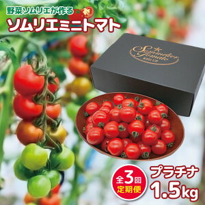yӂ邳Ɣ[Łzy  z\G~jg}gu v`i v 1.5kg × 3J |  TC ₳ g}g Ƃ܂ ~jg}g _ƒ F{ F{ ʖ ʖs