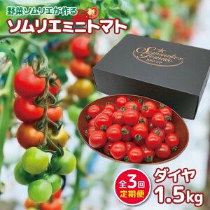 yӂ邳Ɣ[Łzy  z\G~jg}gu _C v 1.5kg × 3J |  TC ₳ g}g Ƃ܂ ~jg}g _ƒ F{ F{ ʖs