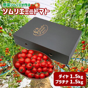 yӂ邳Ɣ[Łz \G~jg}g Hה3kg (v`i+_C) | ʖ F{ g}g