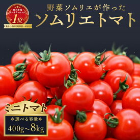 【ふるさと納税】【特別栽培農産物】ミニトマト ソムリエトマト ダイヤ プラチナ 熊本 玉名 トマト ミニトマト とまと 生産者直送 産地直送 送料無料 レッドアップ メール便 置き配