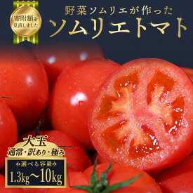 【ふるさと納税】トマト 大玉 訳あり 極み ソムリエトマト 農家直送 熊本 玉名 レッドアップ