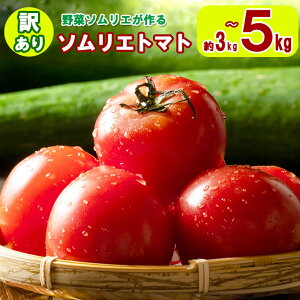 yӂ邳Ɣ[Łz 󂠂 \Gg}g 3kg`5kg × 1 _ƒ F{ ʖ