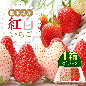 yӂ邳Ɣ[ŁzF{Y  gZbg e1pbN  N  | t[c ʕ   g  Zbg  F{ ʖs