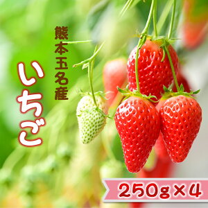 yӂ邳Ɣ[Łz  C`S 4pbN 250g×4 Yn YҒ 䂤ׂ {   ~ nEX͔| ʕ t[c  ʖ F{ 