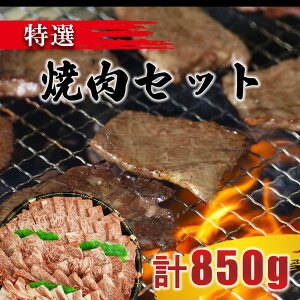 yӂ邳Ɣ[Łzјa IēZbg v850g@([X300gEJr300gE^100gEؓ150gj | ʖ F{
