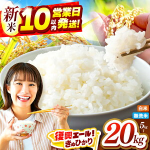 yӂ邳Ɣ[Łz G[ ʊ񕍊z | V [ ߘa7NY ʂЂ  /  Iׂ e 5kg ` 20kg |     LkqJ  Pꌴ  F{ ʖs u