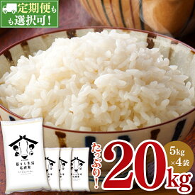 【ふるさと納税】令和5年産 米 20kg (5kg×4) 1回 3回 6回 12回 定期便 お米 白米 数量限定 訳あり