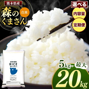 yӂ邳Ɣ[Łz  X̂܂ e  Iׂ 5kg 10kg 15kg 20kg  1 3 6 12 F{ ʖ 
