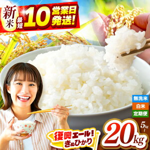 yӂ邳Ɣ[Łz G[ ʊ񕍊z | V [ ߘa7NY ʂЂ  /  Iׂ e E  5kg ` 20kg |     LkqJ  Pꌴ  F{ 