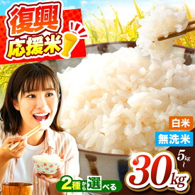 【ふるさと納税】 復興エール | 令和7年産 白米 / 無洗米 選べる 品種 ・ 内容量 ・ 回数 5kg ～ 30kg | お米 米 こめ 精米 ご飯 単一原料米 早期米 熊本県 玉名市 ブランド米 令和7年8月大雨災害 復興エール 銘柄米 早期米