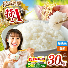 【ふるさと納税】 復興エール | 令和7年産 白米 / 無洗米 選べる 品種 ・ 内容量 ・ 回数 5kg ～ 30kg | お米 米 こめ 精米 ご飯 単一原料米 早期米 熊本県 玉名市 ブランド米 令和7年8月大雨災害 復興エール 銘柄米 早期米