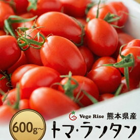 【ふるさと納税】トマト ミニトマト トマランタン トマ・ランタン VegeRise | 600g 1kg 1.5kg 2kg 3kg 4kg 贈答用 野菜 やさい とまと プチトマト 熊本県 玉名市 送料無料
