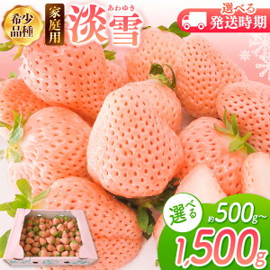 yӂ邳Ɣ[Łz y s\ z ƒp W Iׂ 500g or 1000g or 1500g 12ȍ~ or 2ȍ~ | 󂠂 ʕ t[c   W ȈՕ F{ ʖ 