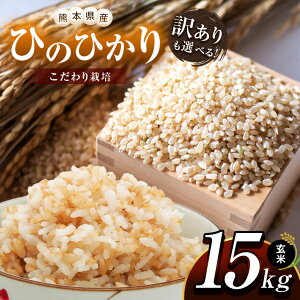 yӂ邳Ɣ[Łzy 󂠂菬 zIׂ I ͔| F{Y Ђ̂Ђ  15kg |    R  F{ ʖs
