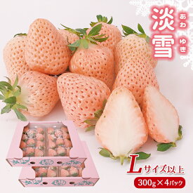 楽天市場 白いちごの通販