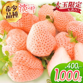 【ふるさと納税】 【 先行予約 】 淡雪 選べる 容量 約400g（大玉限定） or 約500g or 約1000g | フルーツ 果物 苺 イチゴ 希少品種 贈答用 プレゼント 熊本 玉名 送料無料
