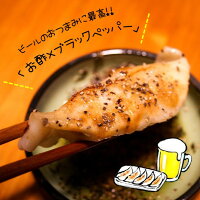 【ふるさと納税】『玉名餃子』どどど〜っんと120個(30個×4袋)