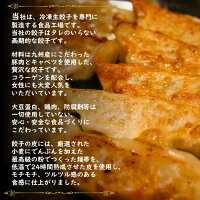 【ふるさと納税】『玉名餃子』どどど〜っんと120個(30個×4袋)
