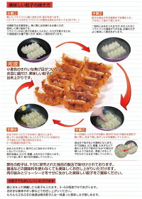 【ふるさと納税】『玉名餃子』どどど〜っんと120個(30個×4袋)