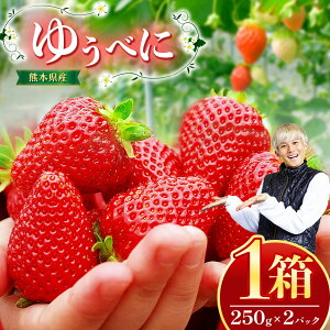 yӂ邳Ɣ[ŁzF{Y C`S u 䂤ׂ v 1i250g×2pbNj | t[c ʕ    500g F{ ʖs  Yn