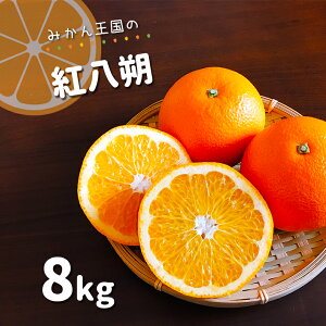 yӂ邳Ɣ[Łz u ݂񉤍 v g 8kg | ʕ t[c k  ݂ ~J ʖ F{ { 