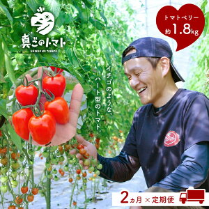 yӂ邳Ɣ[Łzy2z{_̃~jg}gEg}gx[ (1.8kg×2) 1蔭X^[g | g}g { Â g}gx[ n[g^  F{ ʖs