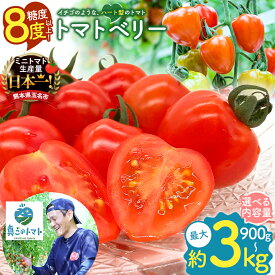 【ふるさと納税】 ミニトマト トマトベリー 約 900g ・ 1.8kg ・ 3kg 生産量 日本一 玉名市 | 希少 プチトマト 熊本 玉名