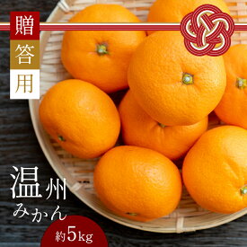 【ふるさと納税】 みかん 柑橘 ミカン 贈答用 5kg たちかわ柑橘園 生産者直送 産地直送 熊本玉名 送料無料