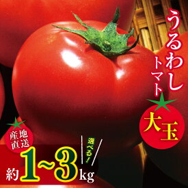 【ふるさと納税】選べる 田添農園 大玉トマト 約 1kg / 2kg / 3kg | 野菜 やさい 大玉 トマト とまと 1キロ 2キロ 3キロ 産地直送 熊本県 玉名市