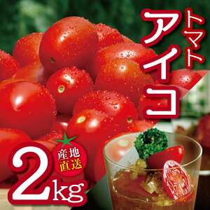 yӂ邳Ɣ[ŁzcY_ g}g ACR 2kg |  ₳ Ƃ܂ ~jg}g 2kg 2L Yn F{ ʖs