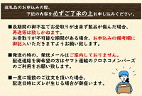 案内文