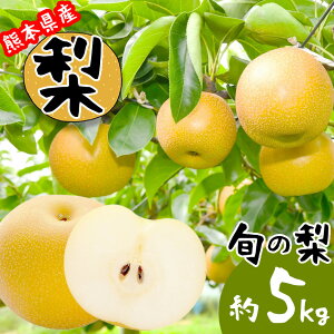 yӂ邳Ɣ[Łz{   5kg |ʕ  t[c K L V Â 5L ʖ F{ H  { 