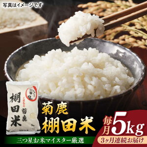 �y�ӂ邳�Ɣ[�Łz�y3�����ցz�e�� �I�c�� 5kg�y�~���^ ������� �z �� ���� ���� �F�{���Y �R���s ���܂���̋P�� [ZAH006]