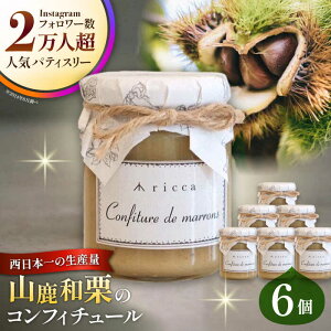 yӂ邳Ɣ[ŁzRaĨRtB`[ 6 yЃpXgz[ZAR009]