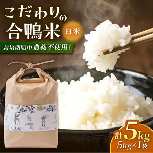 yӂ邳Ɣ[Łz 5kg yyz[ZAR026]