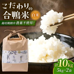 yӂ邳Ɣ[Łzqߘa7NxVār 5kg×2 v10kg yyz[ZAR027] V ߘa7N