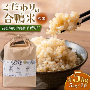 yӂ邳Ɣ[Łz 5kg yyz[ZAR028]