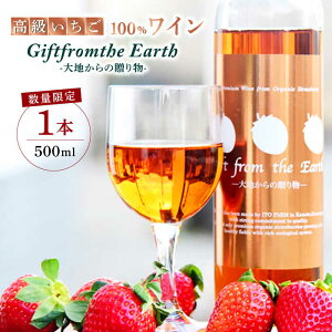 yӂ邳Ɣ[Łz  100C Giftfromthe Earth -n̑蕨- I[KjbNyɓ_z[ZBB004] t[cC C 1{ ʎ Ì   nY  F 