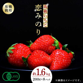 【ふるさと納税】高級 いちご 恋みのり 約1600g（200g×8pc）【伊藤農園】[ZBB007] イチゴ 旬 有機栽培 8パック 評判 レビュー 完熟 高級いちご フレッシュ 山鹿 人気 季節 産地 新鮮 特産 特産品 ブランド お取り寄せ おすすめ 熊本県