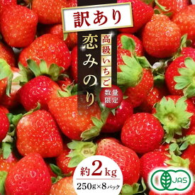 【ふるさと納税】【訳あり】【先行予約】高級 いちご 恋みのり 約2000g【伊藤農園】[ZBB012] イチゴ 旬 有機栽培 8パック 2kg 評判 レビュー 完熟 高級いちご フレッシュ 山鹿 人気 季節 産地 新鮮 特産 特産品 ブランド 数量限定 お取り寄せ おすすめ 熊本県