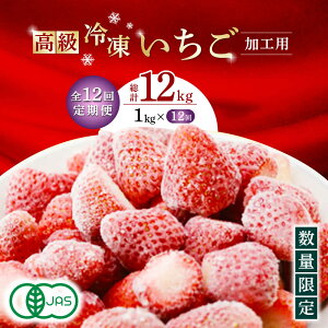 yӂ邳Ɣ[Łzy12ցz Ⓚ  Hp 1kgi500g×2܁jyɓ_z[ZBB017]